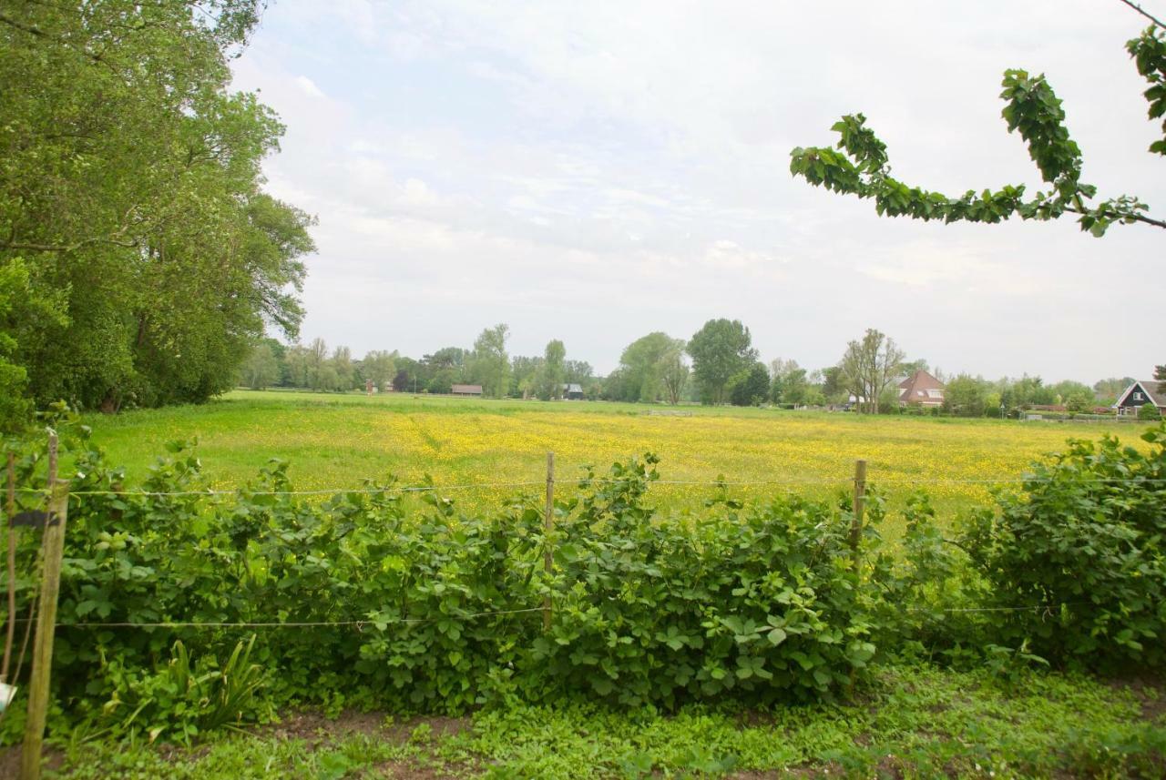 De Ark Villa Schoorl Exteriör bild
